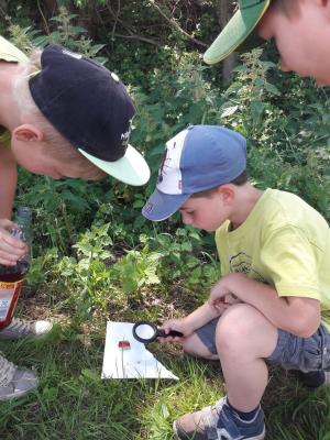 Foto des Albums: Wandertag zum Erdbeerhof