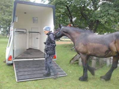 Foto des Albums: Gelassenheitstraining (09.09.2017)