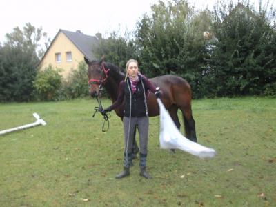 Foto des Albums: Gelassenheitstraining (09.09.2017)