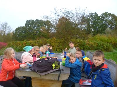 Foto des Albums: Wanderung mit Hr. Heine in das Arboretum