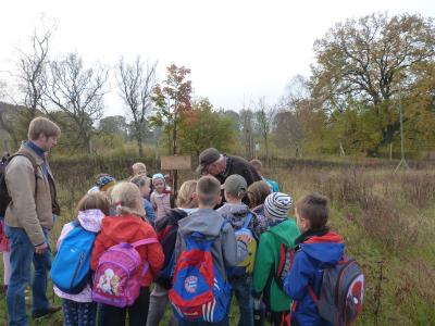Foto des Albums: Wanderung mit Hr. Heine in das Arboretum