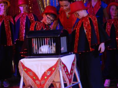 Foto des Albums: Projektzirkus Hein "Vorstellungen"
