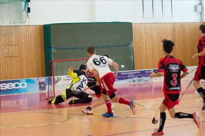 Foto des Albums: Herren Heimspieltag  21.10.2017