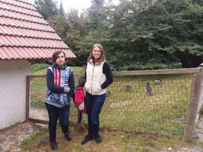 Foto des Albums: Aktionstag 2017