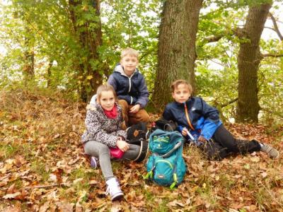 Foto des Albums: Wanderung zum Bismarckturm