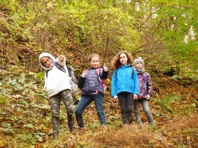 Foto des Albums: Wanderung zum Bismarckturm