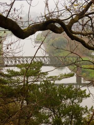 Foto des Albums: Wanderung zum Bismarckturm