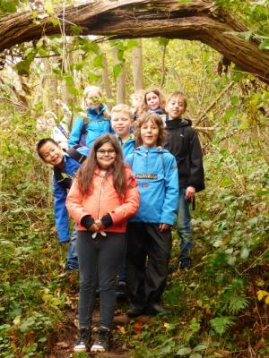 Foto des Albums: Wanderung zum Bismarckturm