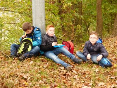 Foto des Albums: Wanderung zum Bismarckturm
