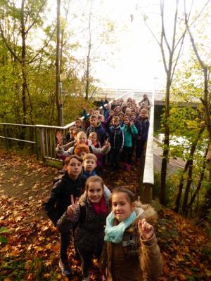 Foto des Albums: Wanderung zum Bismarckturm