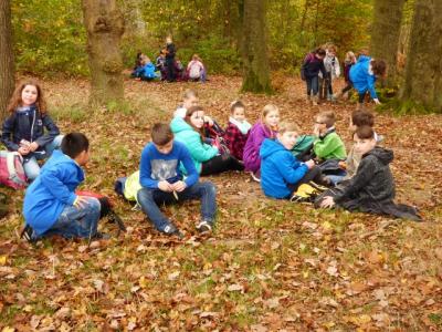 Foto des Albums: Wanderung zum Bismarckturm