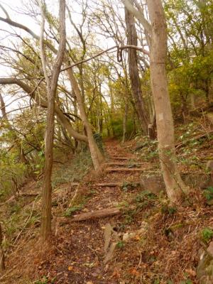 Foto des Albums: Wanderung zum Bismarckturm