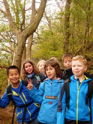 Foto des Albums: Wanderung zum Bismarckturm