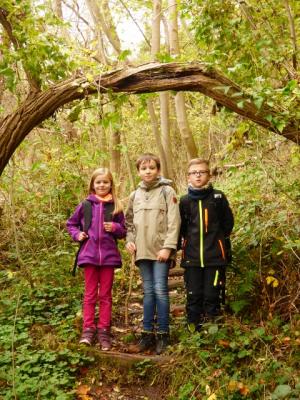 Foto des Albums: Wanderung zum Bismarckturm