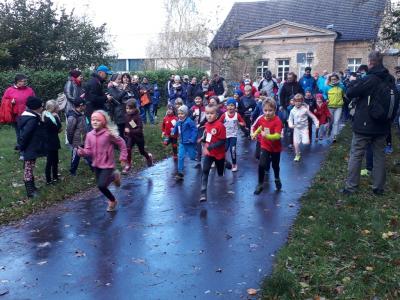 Foto des Albums: Anklamer Herbstcross, 29.10.2017