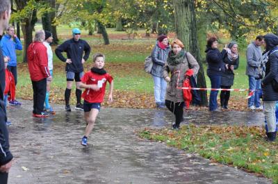 Foto des Albums: Anklamer Herbstcross, 29.10.2017