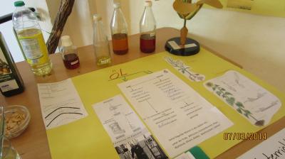 Foto des Albums: Archiv