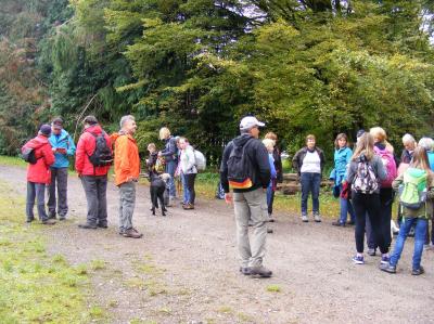 Foto des Albums: 2017 Herbstwanderung (08.10.2017)