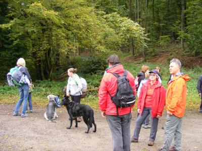 Foto des Albums: 2017 Herbstwanderung (08.10.2017)