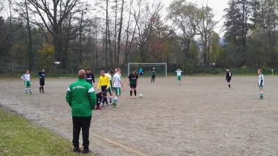 Foto des Albums: SGW 2 - Grün-Weiß Hochkirch