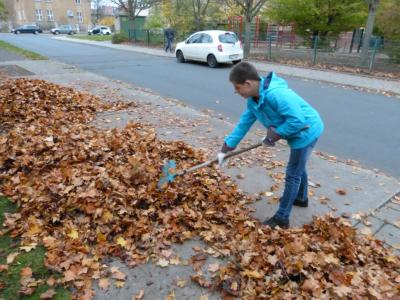Foto des Albums: Herbstputz 2017