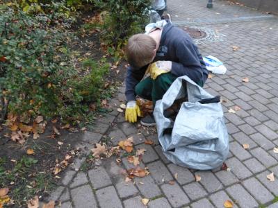 Foto des Albums: Herbstputz 2017