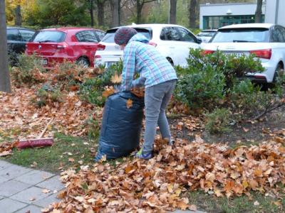 Foto des Albums: Herbstputz 2017