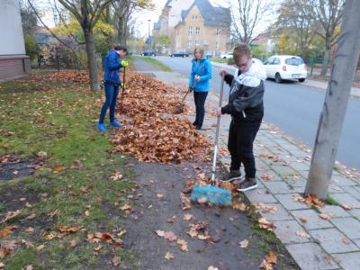 Foto des Albums: Herbstputz 2017