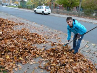 Foto des Albums: Herbstputz 2017
