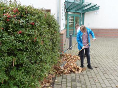 Foto des Albums: Herbstputz 2017