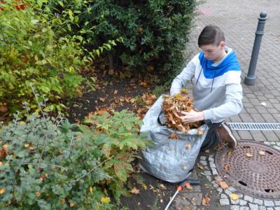 Foto des Albums: Herbstputz 2017