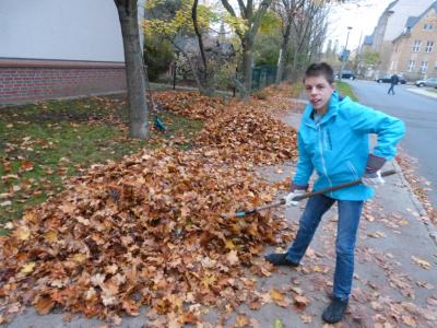 Foto des Albums: Herbstputz 2017