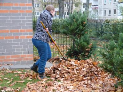 Foto des Albums: Herbstputz 2017