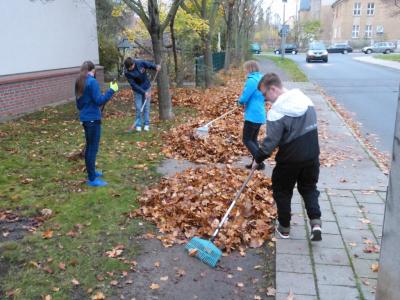 Foto des Albums: Herbstputz 2017