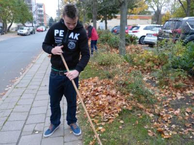 Foto des Albums: Herbstputz 2017