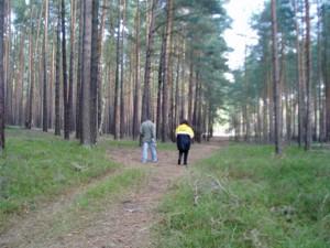 Foto des Albums: Wanderparadies Teil 2