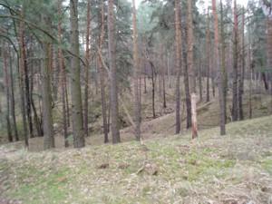 Foto des Albums: Wanderparadies Teil 2