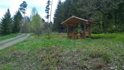 Foto des Albums: Pfründewaldbegehung