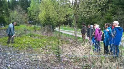 Foto des Albums: Pfründewaldbegehung
