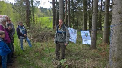 Foto des Albums: Pfründewaldbegehung