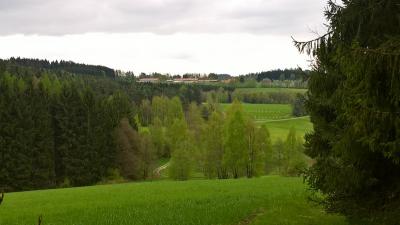 Foto des Albums: Pfründewaldbegehung