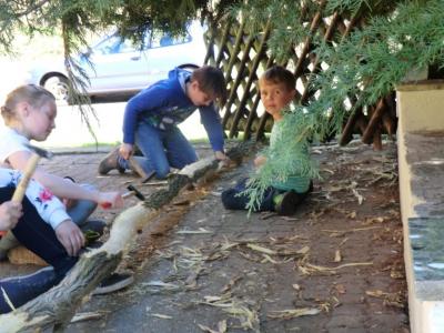 Foto des Albums: Arbeitseinsatz 2017