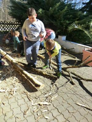 Foto des Albums: Arbeitseinsatz 2017