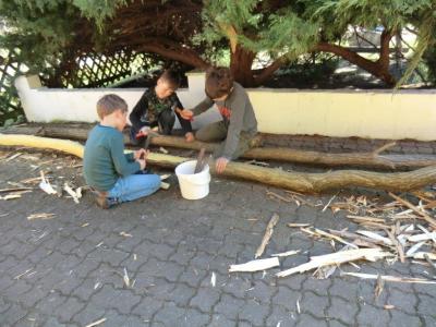 Foto des Albums: Arbeitseinsatz 2017