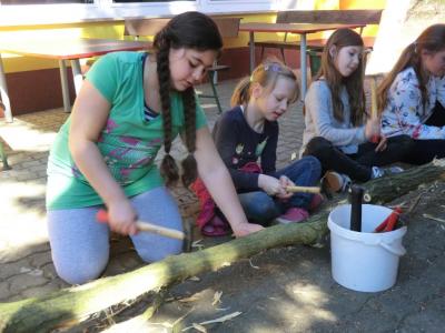 Foto des Albums: Arbeitseinsatz 2017