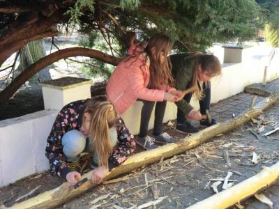 Foto des Albums: Arbeitseinsatz 2017