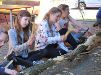 Foto des Albums: Arbeitseinsatz 2017