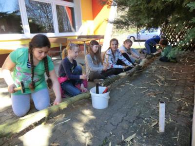 Foto des Albums: Arbeitseinsatz 2017