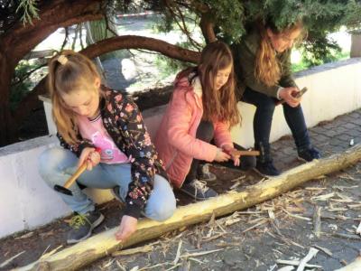 Foto des Albums: Arbeitseinsatz 2017