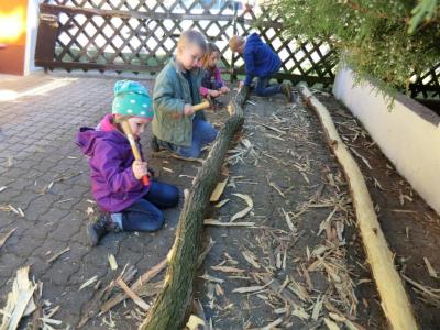 Foto des Albums: Arbeitseinsatz 2017
